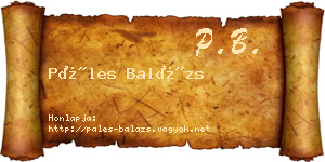 Páles Balázs névjegykártya